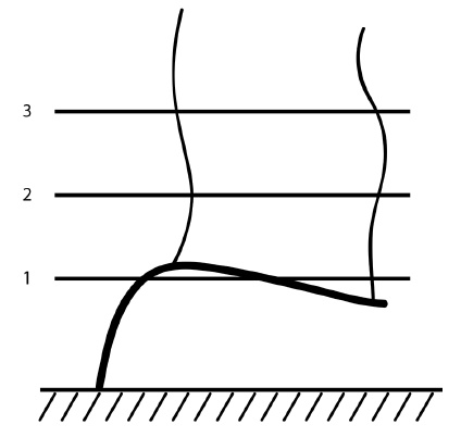 Обрезка винограда. Проверенные способы формировки укрывного винограда в средней полосе России Обрезка винограда. Проверенные способы формировки укрывного винограда в средней полосе России