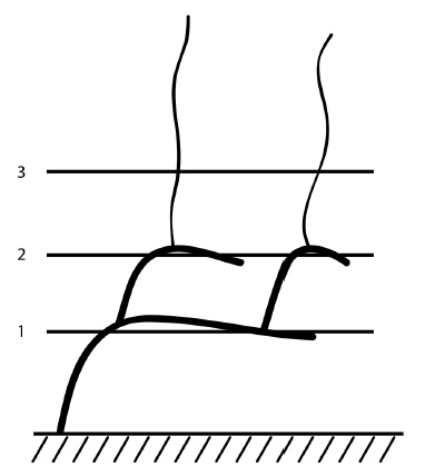 Обрезка винограда. Проверенные способы формировки укрывного винограда в средней полосе России Обрезка винограда. Проверенные способы формировки укрывного винограда в средней полосе России