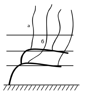 Обрезка винограда. Проверенные способы формировки укрывного винограда в средней полосе России Обрезка винограда. Проверенные способы формировки укрывного винограда в средней полосе России