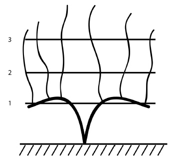 Обрезка винограда. Проверенные способы формировки укрывного винограда в средней полосе России