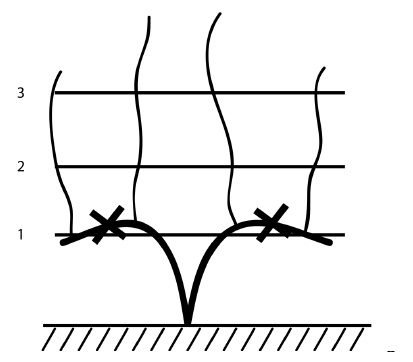 Обрезка винограда. Проверенные способы формировки укрывного винограда в средней полосе России