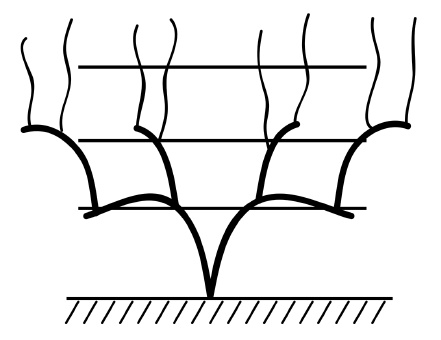 Обрезка винограда. Проверенные способы формировки укрывного винограда в средней полосе России