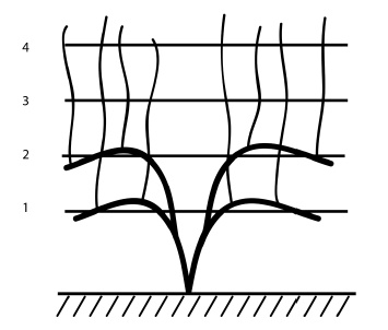 Обрезка винограда. Проверенные способы формировки укрывного винограда в средней полосе России