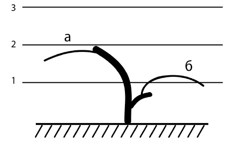 Обрезка винограда. Проверенные способы формировки укрывного винограда в средней полосе России