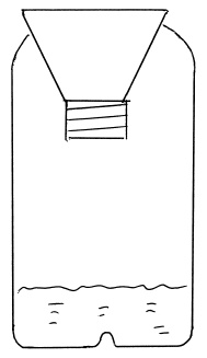 Обрезка винограда. Проверенные способы формировки укрывного винограда в средней полосе России Обрезка винограда. Проверенные способы формировки укрывного винограда в средней полосе России
