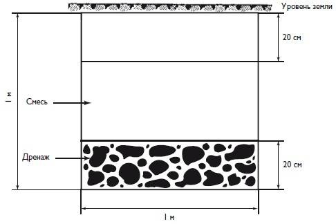 Домашний виноградник. Виноград для средней полосы России и севернее Домашний виноградник. Виноград для средней полосы России и севернее