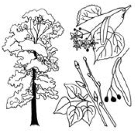 Полный справочник пчеловода Полный справочник пчеловода