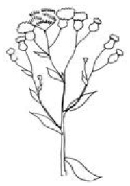 Полный справочник пчеловода Полный справочник пчеловода