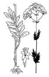 Полный справочник пчеловода Полный справочник пчеловода