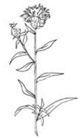 Полный справочник пчеловода Полный справочник пчеловода