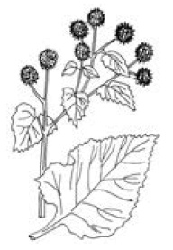 Полный справочник пчеловода Полный справочник пчеловода