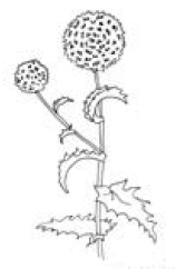 Полный справочник пчеловода Полный справочник пчеловода