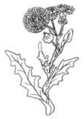 Полный справочник пчеловода Полный справочник пчеловода