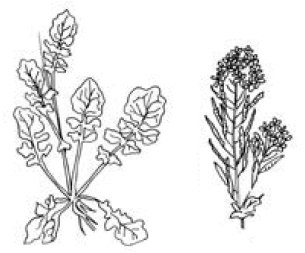 Полный справочник пчеловода Полный справочник пчеловода