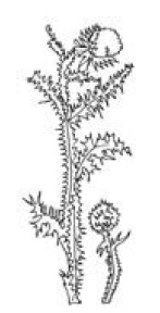 Полный справочник пчеловода Полный справочник пчеловода