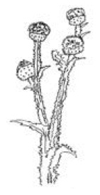 Полный справочник пчеловода Полный справочник пчеловода