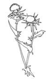 Полный справочник пчеловода Полный справочник пчеловода