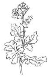 Полный справочник пчеловода Полный справочник пчеловода