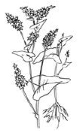 Полный справочник пчеловода Полный справочник пчеловода