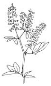 Полный справочник пчеловода Полный справочник пчеловода