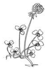 Полный справочник пчеловода Полный справочник пчеловода