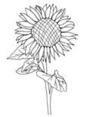 Полный справочник пчеловода Полный справочник пчеловода