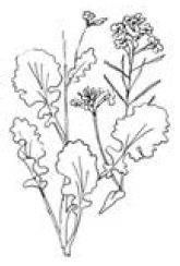 Полный справочник пчеловода Полный справочник пчеловода