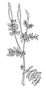 Полный справочник пчеловода Полный справочник пчеловода