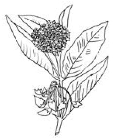 Полный справочник пчеловода Полный справочник пчеловода