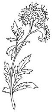 Полный справочник пчеловода Полный справочник пчеловода