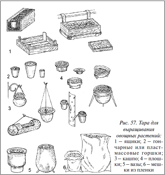 Современные теплицы и парники
