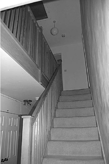 Обустройство и ремонт дома быстро и дешево. Коммуникации и интерьер своими руками всего за 2 месяца Обустройство и ремонт дома быстро и дешево. Коммуникации и интерьер своими руками всего за 2 месяца