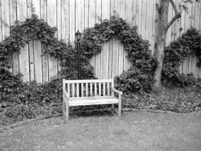 Благоустройство территории вокруг коттеджа