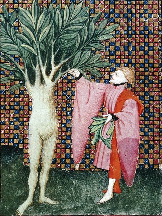 Омерзительное искусство. Юмор и хоррор шедевров живописи Омерзительное искусство. Юмор и хоррор шедевров живописи