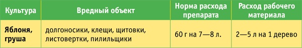 Яблони и груши. Секреты урожая от Октябрины Ганичкиной