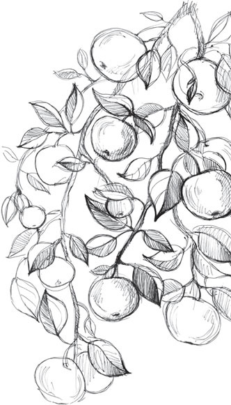 Спор животных. С вопросами и ответами для почемучек