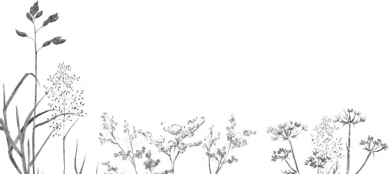 Спор животных. С вопросами и ответами для почемучек