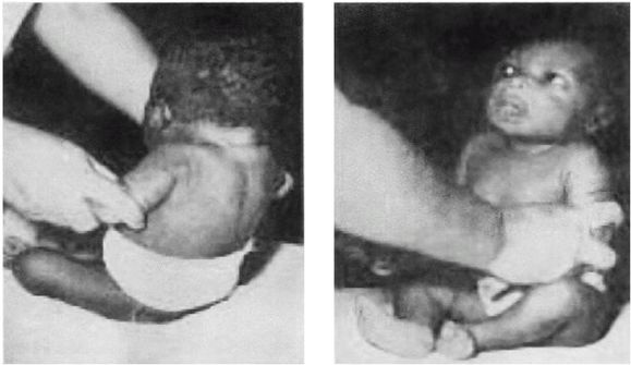 Эректус бродит между нами. Покорение белой расы