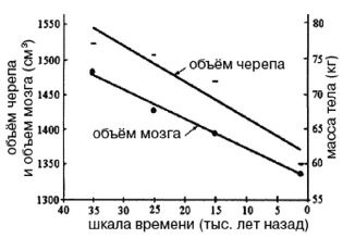 Эректус бродит между нами. Покорение белой расы