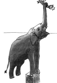 Истоки морали. В поисках человеческого у приматов Истоки морали. В поисках человеческого у приматов