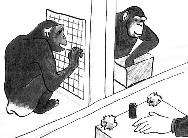 Истоки морали. В поисках человеческого у приматов