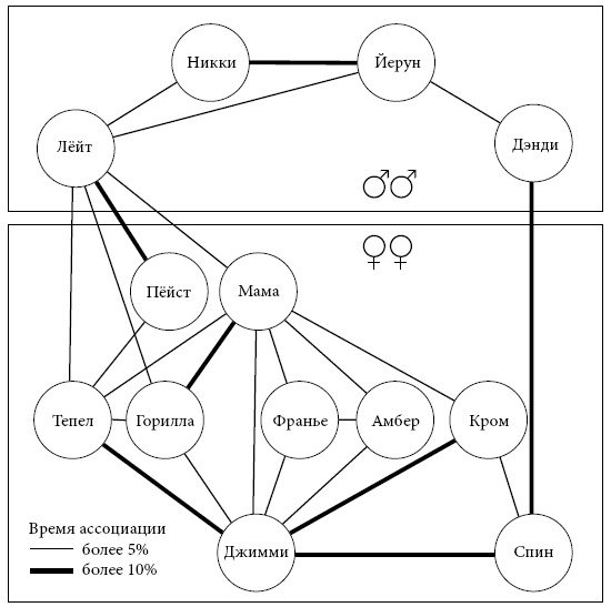 Политика у шимпанзе. Власть и секс у приматов