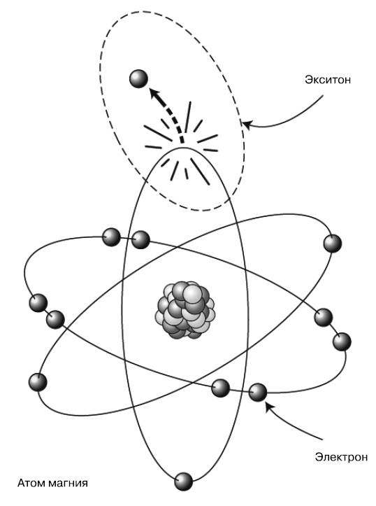Жизнь на грани. Ваша первая книга о квантовой биологии Жизнь на грани. Ваша первая книга о квантовой биологии
