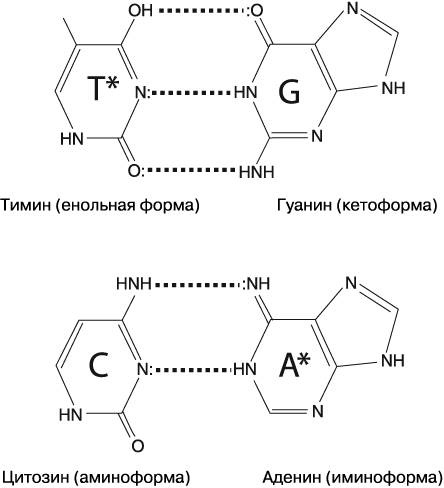 Жизнь на грани. Ваша первая книга о квантовой биологии Жизнь на грани. Ваша первая книга о квантовой биологии