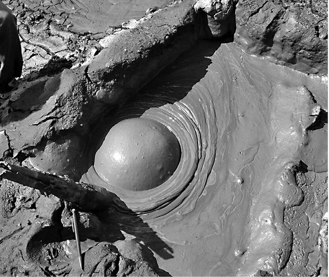 Жизнь на грани. Ваша первая книга о квантовой биологии Жизнь на грани. Ваша первая книга о квантовой биологии