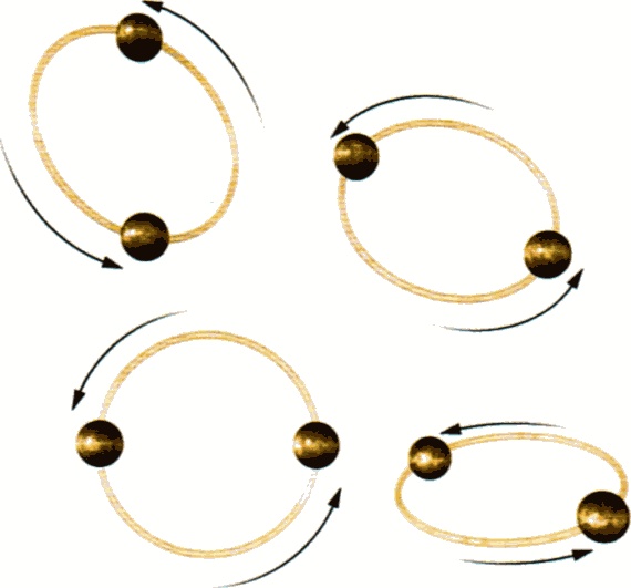 Мир в ореховой скорлупке