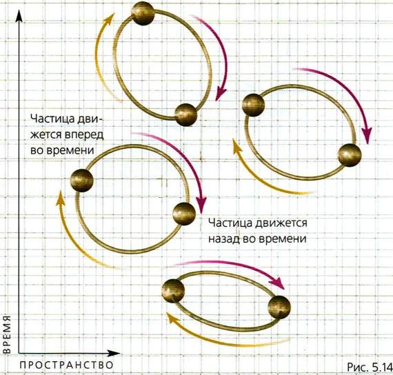 Мир в ореховой скорлупке