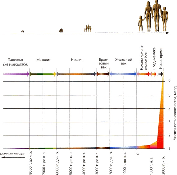 Мир в ореховой скорлупке