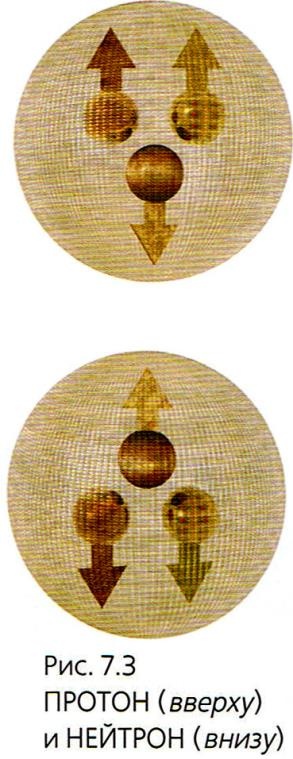 Мир в ореховой скорлупке