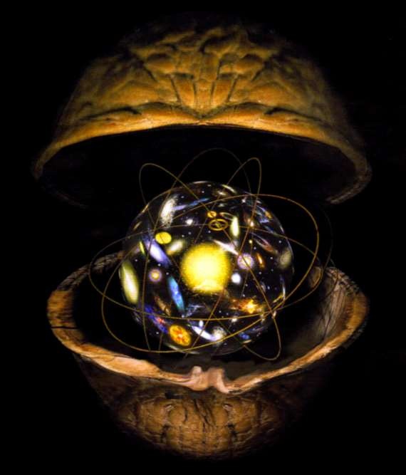 Мир в ореховой скорлупке